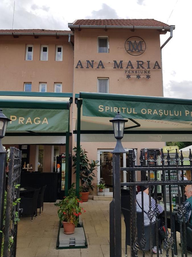 Pensiunea Ana Maria Baile Felix Exterior photo